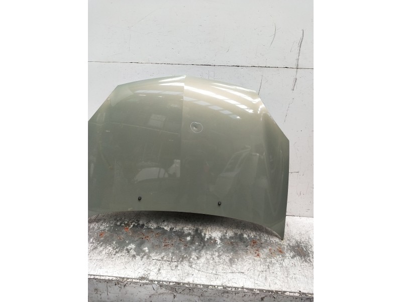 Recambio de capot para renault clio ii (bb_, cb_) 1.5 dci (b/cb08) referencia OEM IAM   