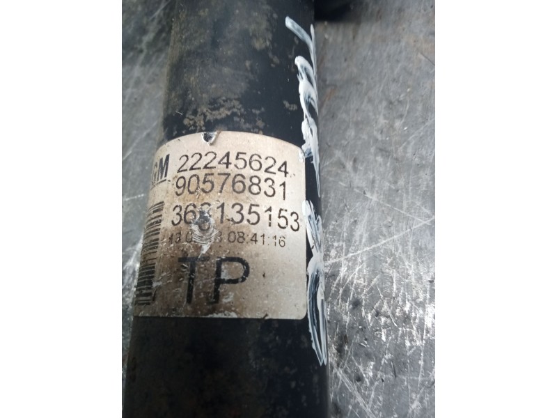 Recambio de amortiguador trasero derecho para opel astra g hatchback (t98) 1.8 16v (f08, f48) referencia OEM IAM 22245624  