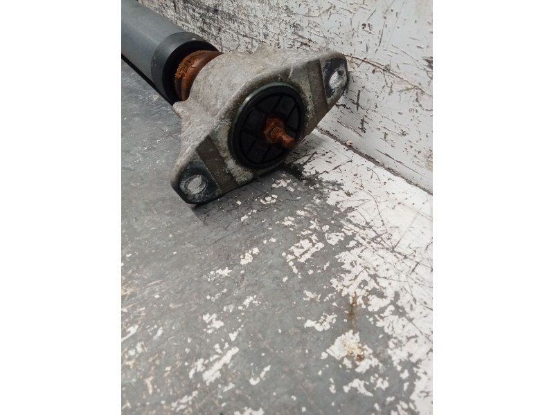 Recambio de amortiguador trasero izquierdo para ford focus ii (da_, hcp, dp) 1.6 referencia OEM IAM E2000504  