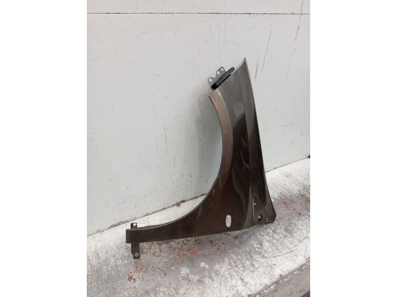 Recambio de aleta delantera izquierda para fiat bravo ii (198_) 1.9 d multijet (198axc1b) referencia OEM IAM   