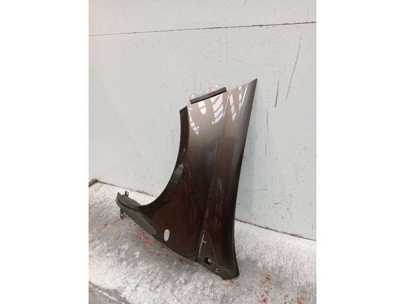 Recambio de aleta delantera izquierda para fiat bravo ii (198_) 1.9 d multijet (198axc1b) referencia OEM IAM   