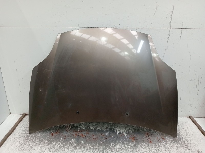 Recambio de capot para fiat bravo ii (198_) 1.9 d multijet (198axc1b) referencia OEM IAM   