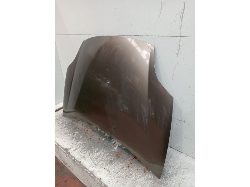 Recambio de capot para fiat bravo ii (198_) 1.9 d multijet (198axc1b) referencia OEM IAM   
