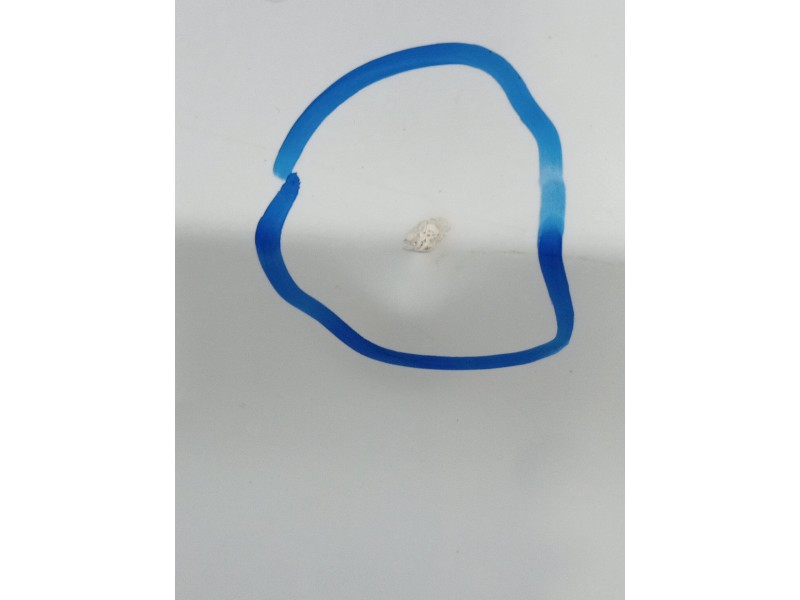 Recambio de puerta trasera derecha para ford s-max (cj, wa6) 2.0 tdci referencia OEM IAM  5P 