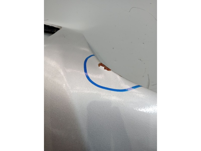 Recambio de capot para bmw 5 (e39) 525 d referencia OEM IAM   