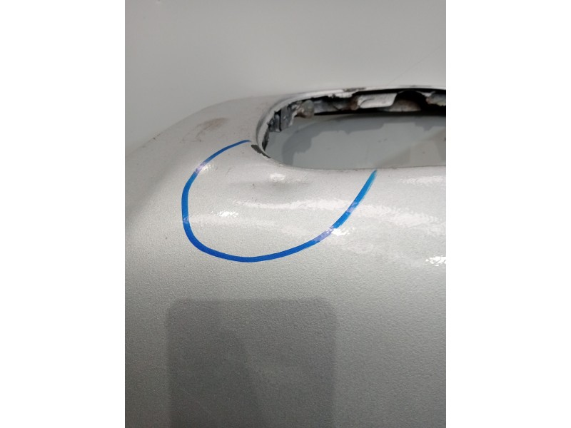 Recambio de capot para bmw 5 (e39) 525 d referencia OEM IAM   