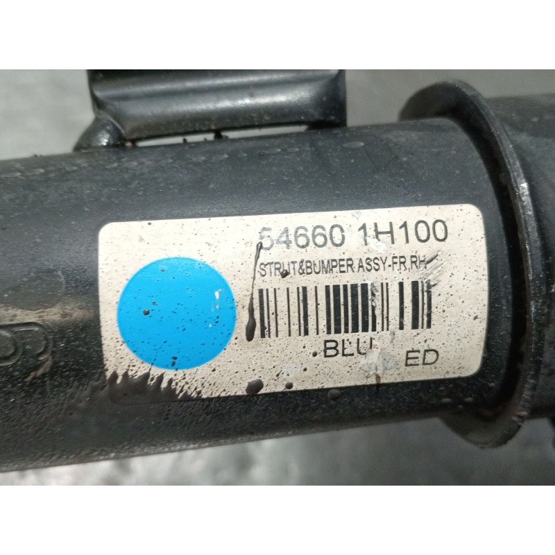 Recambio de amortiguador delantero derecho para kia cee´d sw (ed) 2.0 crdi 140 referencia OEM IAM 546601H100  