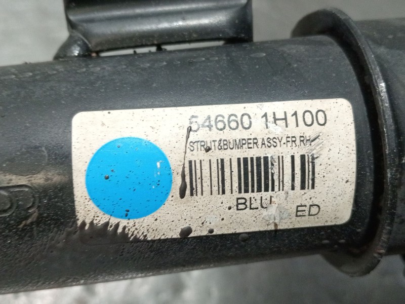 Recambio de amortiguador delantero derecho para kia cee´d sw (ed) 2.0 crdi 140 referencia OEM IAM 546601H100  