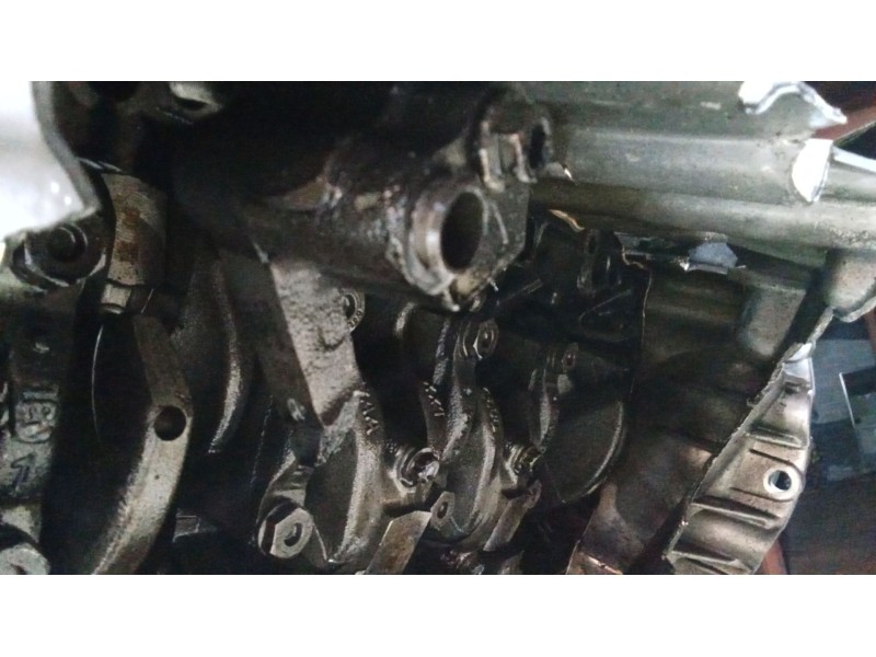 Recambio de motor completo para seat exeo (3r2) 2.0 tdi referencia OEM IAM CAG BOSCH 409419