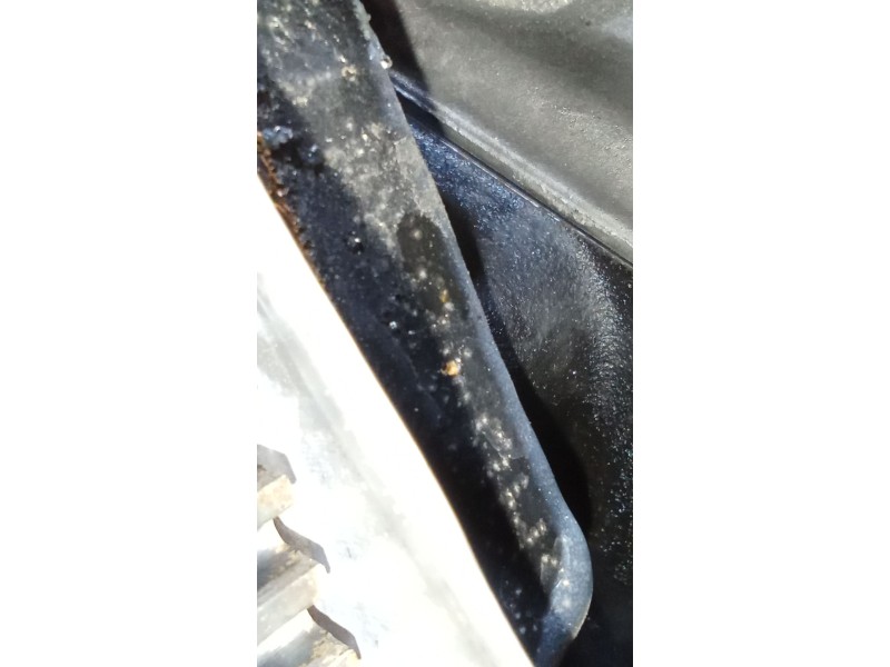 Recambio de motor completo para seat exeo (3r2) 2.0 tdi referencia OEM IAM CAG BOSCH 409419