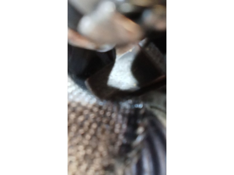 Recambio de motor completo para lancia thesis (841_) 2.4 jtd (841axd1b02) referencia OEM IAM 841C000  S1306