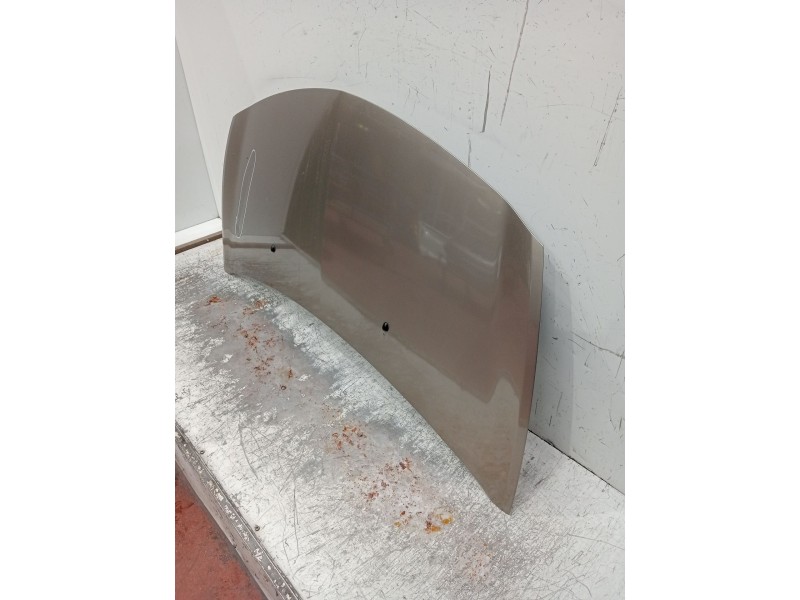 Recambio de capot para renault clio grandtour dynamique referencia OEM IAM   