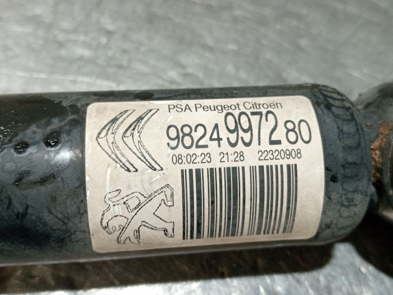 Recambio de amortiguador trasero para citroën c3 referencia OEM IAM 9824997280 22320908 
