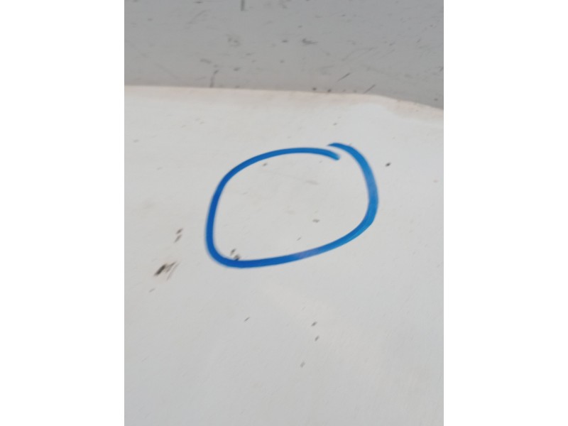 Recambio de capot para renault kangoo express (fc0/1_) 1.9 dci 4x4 (fc0v) referencia OEM IAM   