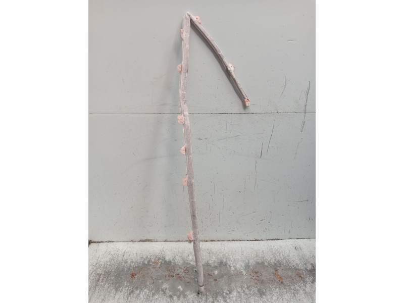 Recambio de airbag cortina delantero derecho para audi a4 b7 avant (8ed) 2.0 tdi 16v referencia OEM IAM 8E9880742A  