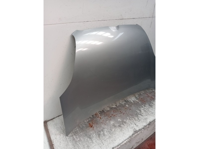Recambio de capot para fiat doblo autobús (263_) 1.6 d multijet (263axd1b) referencia OEM IAM   
