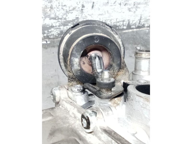 Recambio de enfriador egr para volkswagen passat cc b6 (357) 2.0 tdi referencia OEM IAM 709720000  