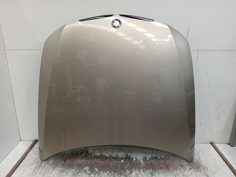 Recambio de capot para bmw 3 touring (e91) 320 d referencia OEM IAM   