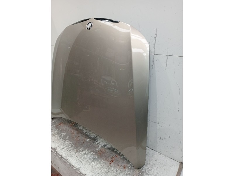Recambio de capot para bmw 3 touring (e91) 320 d referencia OEM IAM   