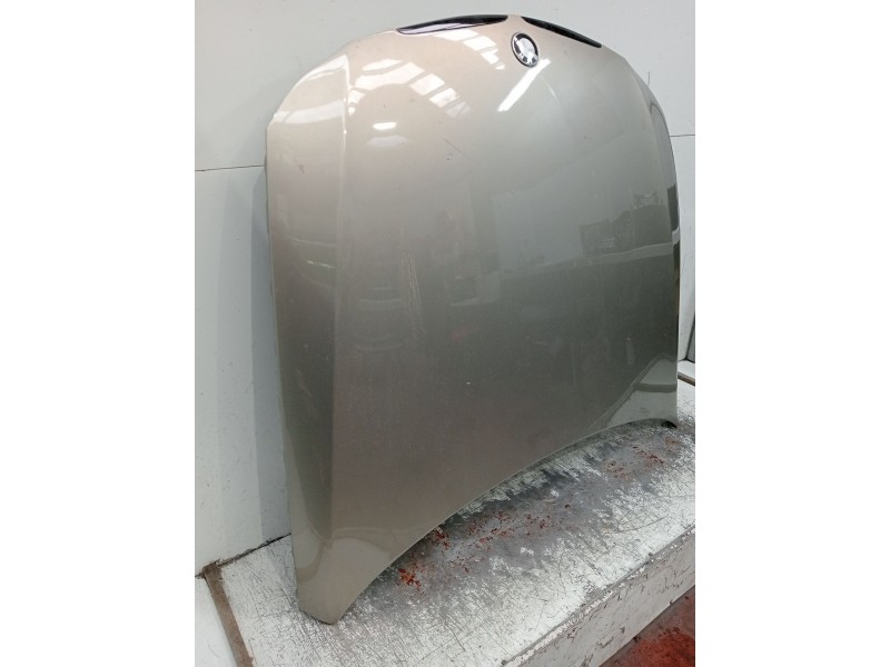 Recambio de capot para bmw 3 touring (e91) 320 d referencia OEM IAM   