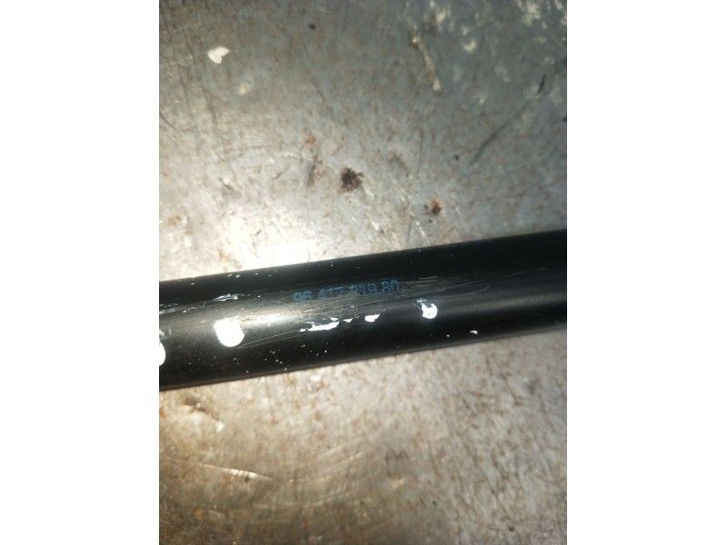 Recambio de amortiguador trasero para citroën c2 (jm_) 1.6 referencia OEM IAM 9641721980  