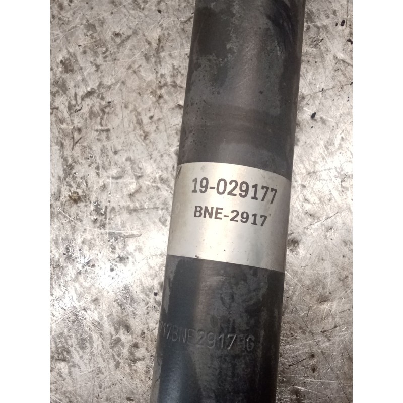 Recambio de amortiguador trasero izquierdo para volkswagen bora i (1j2) 1.9 tdi referencia OEM IAM 19029177  