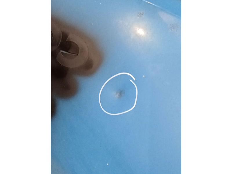 Recambio de capot para fiat ducato furgoneta (250_) 130 multijet 2,3 d referencia OEM IAM   