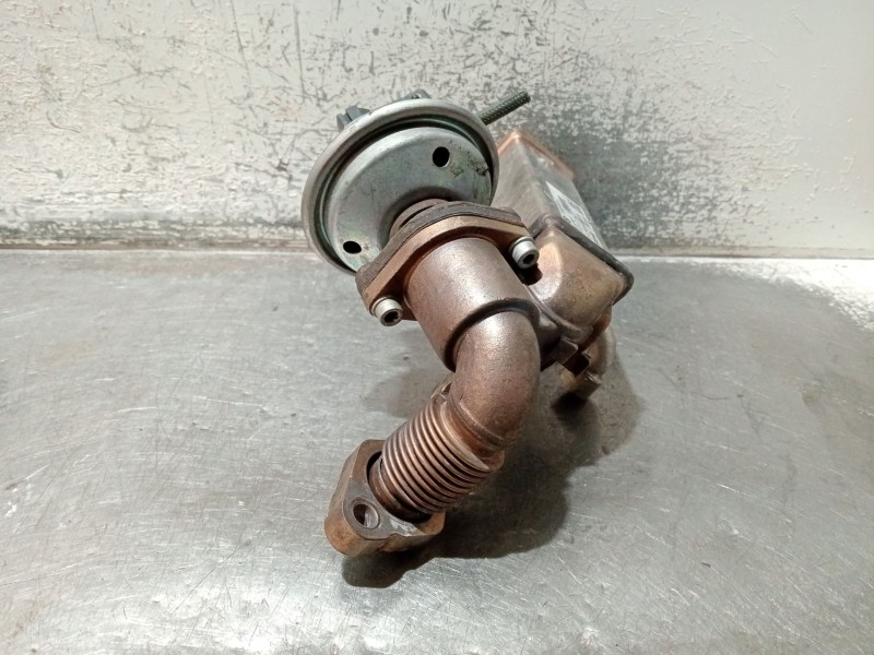 Recambio de enfriador egr para bmw 3 touring (e91) 320 d referencia OEM IAM 780065304 L4324006 