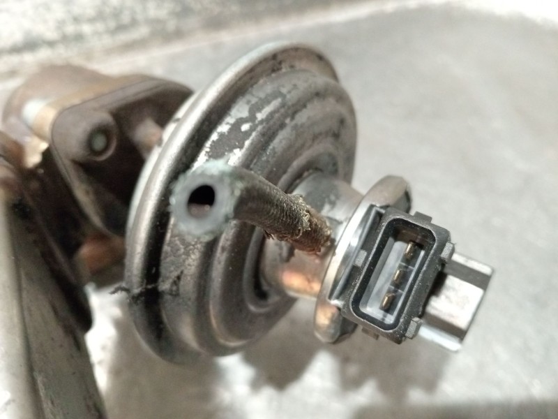 Recambio de enfriador egr para bmw 3 touring (e91) 320 d referencia OEM IAM 780065304 L4324006 