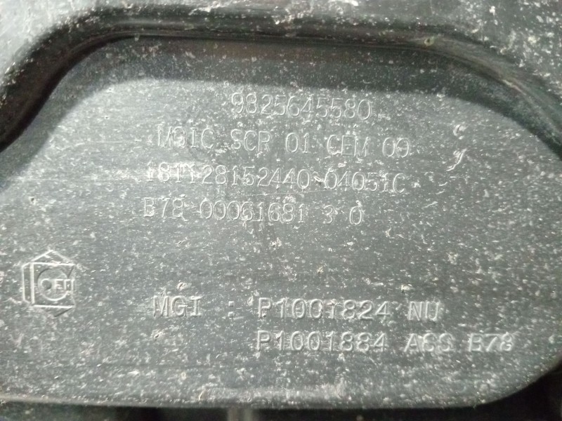 Recambio de deposito combustible para citroën c5 aircross (ac_, aj_, ar_, a4_) 2.0 bluehdi 180 (ajehzr) referencia OEM IAM 98256