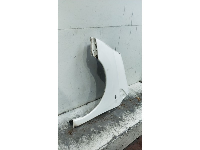 Recambio de aleta delantera izquierda para citroën jumpy 2.0 hdi cat (rhk / dw10uted4) referencia OEM IAM   