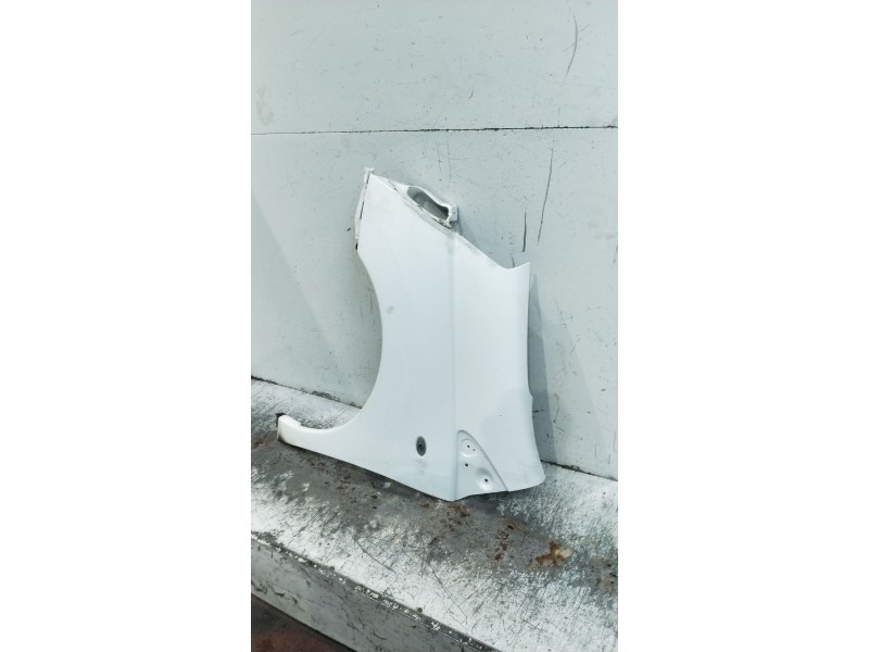 Recambio de aleta delantera izquierda para citroën jumpy 2.0 hdi cat (rhk / dw10uted4) referencia OEM IAM   