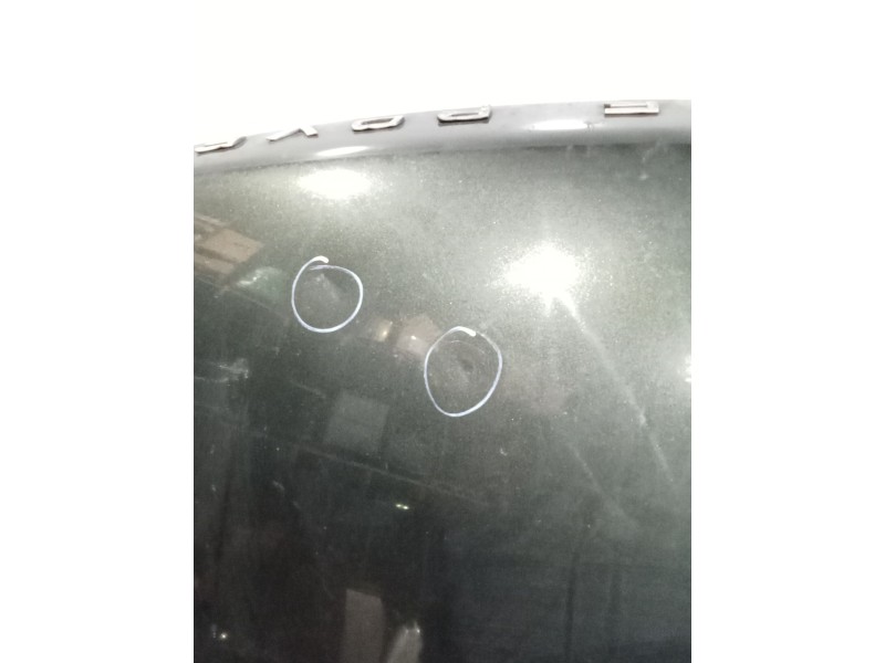 Recambio de capot para land rover range rover sport referencia OEM IAM   