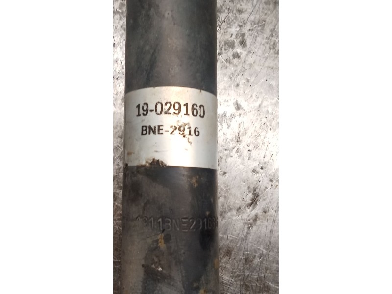 Recambio de amortiguador trasero izquierdo para skoda octavia i (1u2) 1.9 tdi referencia OEM IAM 19029160  