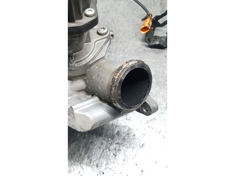 Recambio de enfriador egr para audi a5 sportback (8t) 3.0 tdi (150kw) referencia OEM IAM 059131515CG  