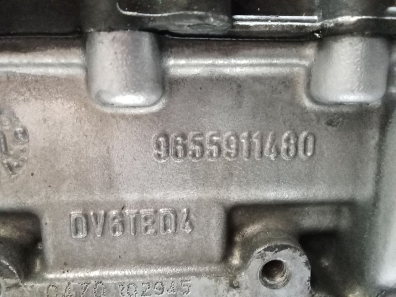 Recambio de culata para citroën berlingo / berlingo first furgoneta/monovolumen (m_) 1.6 hdi 75 (mb9hw) referencia OEM IAM 96559