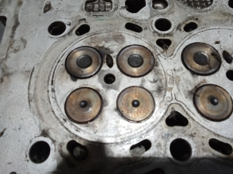 Recambio de culata para citroën berlingo / berlingo first furgoneta/monovolumen (m_) 1.6 hdi 75 (mb9hw) referencia OEM IAM 96559