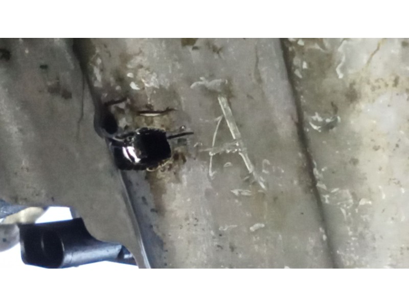 Recambio de motor completo para audi a3 (8p1) 2.0 tdi 16v referencia OEM IAM BKD  163404