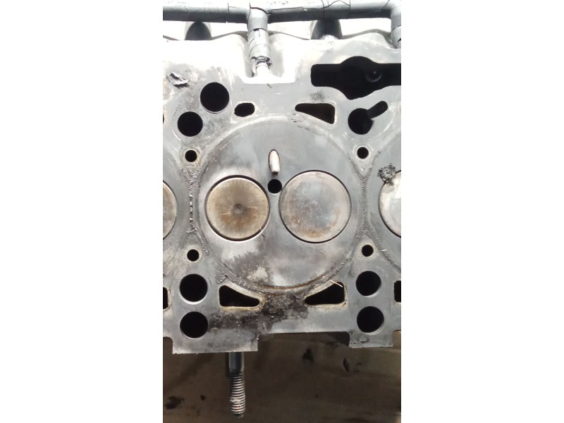 Recambio de culata para volkswagen polo iv (9n_, 9a_) 1.4 tdi referencia OEM IAM 045103373HV420 BNM 