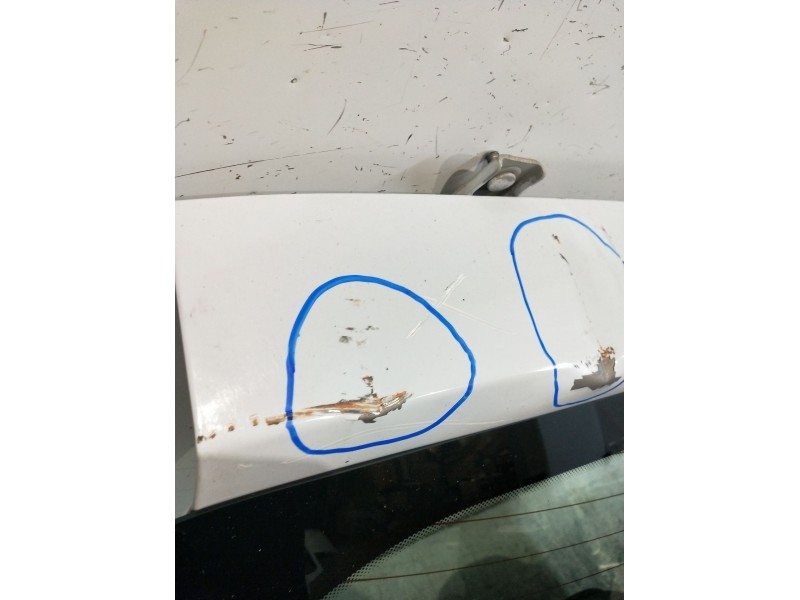 Recambio de porton trasero para renault clio iii (br0/1, cr0/1) 1.5 dci referencia OEM IAM   