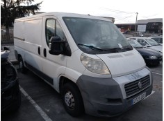 fiat ducato furgoneta (250_) del año 2008