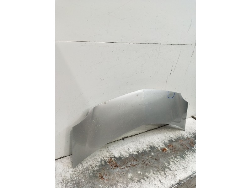 Recambio de capot para renault modus / grand modus (f/jp0_) 1.2 (jp0c, jp0k, fp0c, fp0k, fp0p, jp0p, jp0t) referencia OEM IAM   