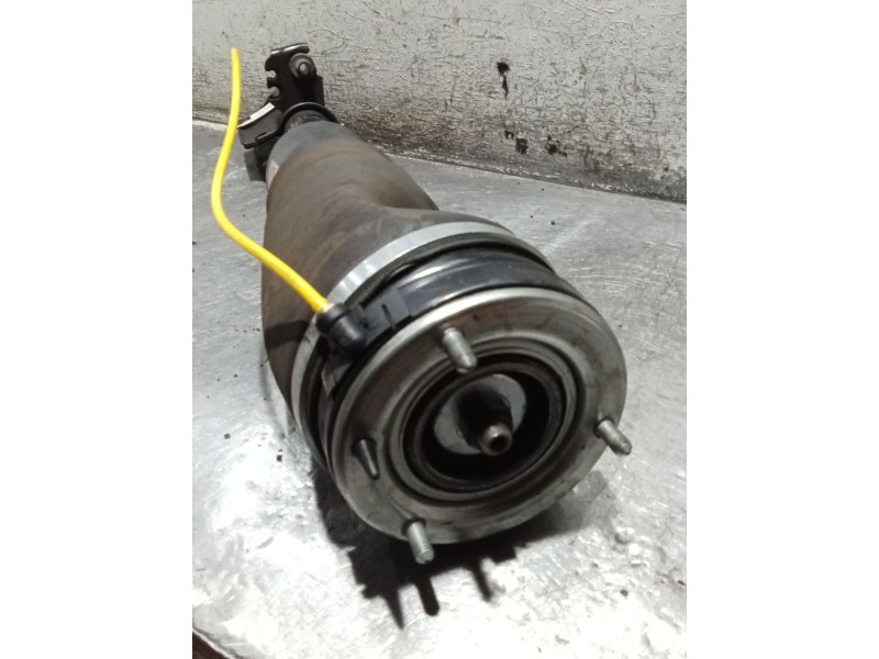 Recambio de amortiguador delantero derecho para land rover range rover (lm) td6 se referencia OEM IAM   