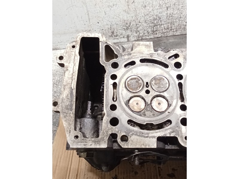 Recambio de culata para mercedes-benz clase e (w212) e 300 cdi / bluetec (212.020, 212.021, 212.027) referencia OEM IAM A6420100