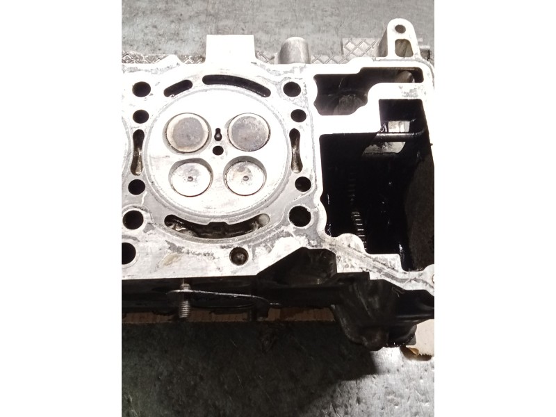 Recambio de culata para mercedes-benz clase e (w212) e 300 cdi / bluetec (212.020, 212.021, 212.027) referencia OEM IAM A6420100