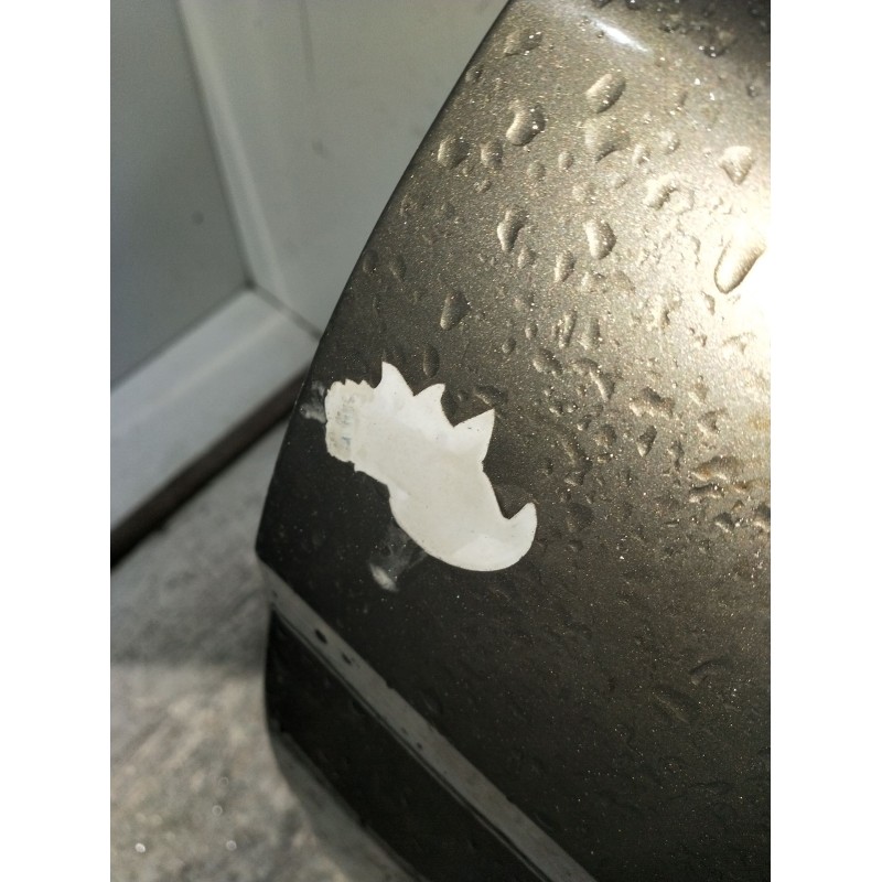 Recambio de puerta trasera derecha para citroën xsara picasso (n68) 1.6 hdi referencia OEM IAM  5P VER FOTOS