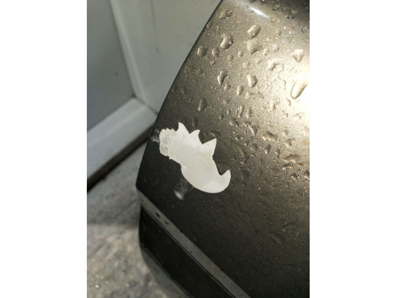 Recambio de puerta trasera derecha para citroën xsara picasso (n68) 1.6 hdi referencia OEM IAM  5P VER FOTOS