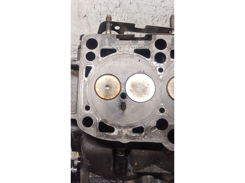 Recambio de culata para skoda octavia ii (1z3) 1.9 tdi referencia OEM IAM 038103373R BXE 