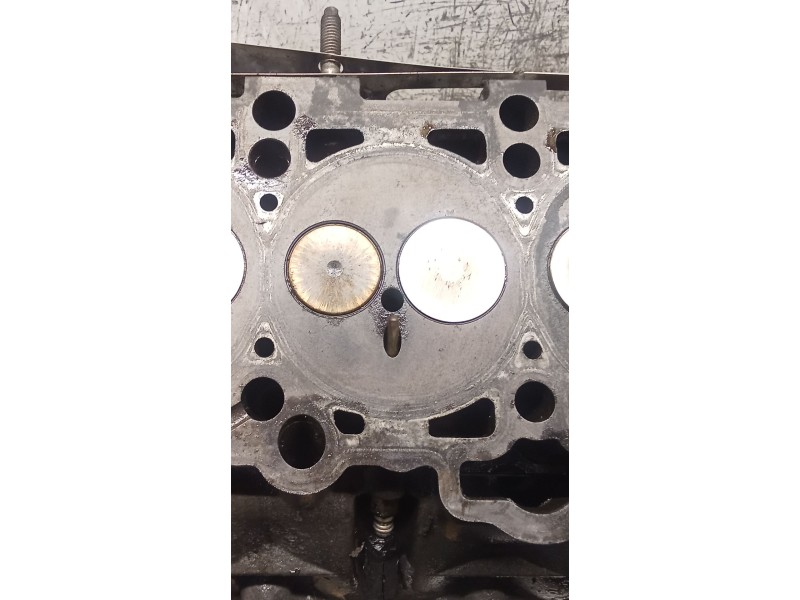 Recambio de culata para skoda octavia ii (1z3) 1.9 tdi referencia OEM IAM 038103373R BXE 