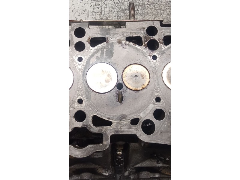 Recambio de culata para skoda octavia ii (1z3) 1.9 tdi referencia OEM IAM 038103373R BXE 